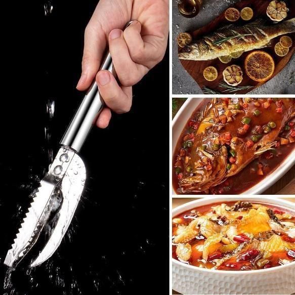 3-in-1 Stainless Steel Fish Scaler Remover Knife